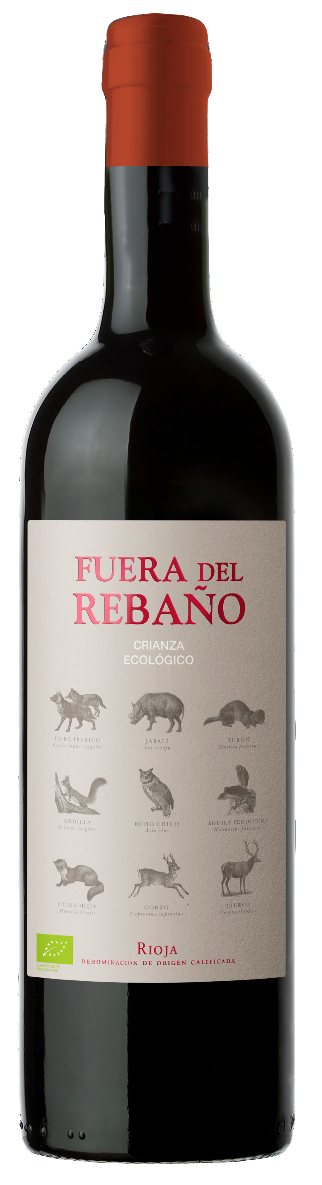 Fuera del Rebaño 2019