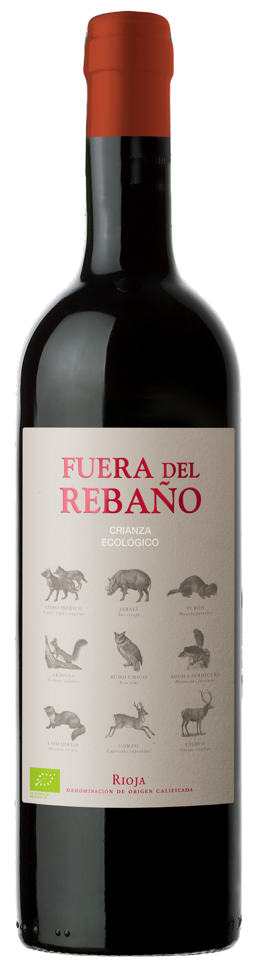 Fuera del Rebaño 2019